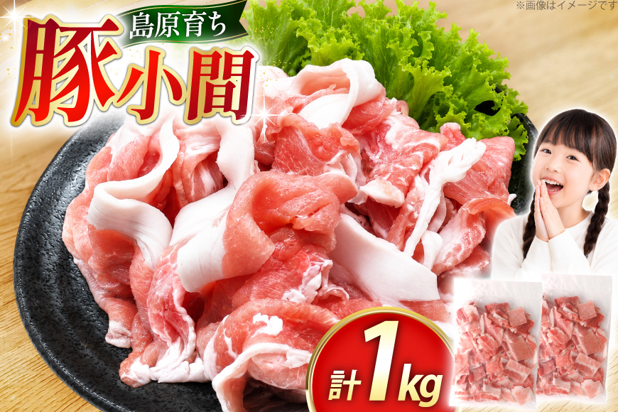 AK028 豚小間 500g 2パック 計1kg [ 豚肉 小分け 豚こま こま切れ 肉 お肉 BBQ バーベキュー 焼肉 アウトドア 1キロ スターゼン 長崎県 島原市 ]