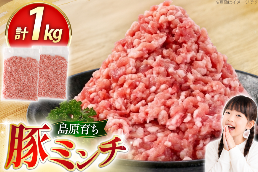 AK026 豚ミンチ 500g 2パック 計1kg [ 豚肉 肉 ミンチ ミンチ肉 小分け ぶた肉 ぶた 豚 スターゼン 長崎県 島原市 ]