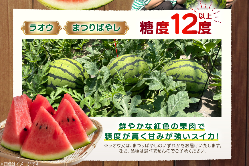AJ455 【令和8年度出荷分】 湧水の里 モリファーム 赤玉 スイカ ラオウ まつりばやし 3L 8〜10kg 1玉 [ 先行予約 数量限定 すいか スイカ 西瓜 フルーツ 果物 長崎 長崎県 島原市 ]
