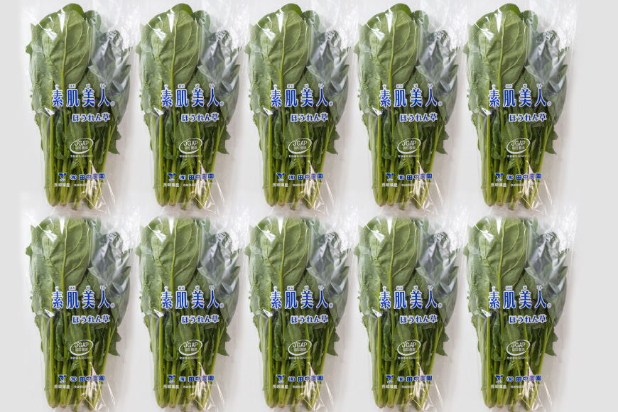 AI325 定期便 12回 ほうれん草 10束 [ 野菜 ホウレン草 やさい ホウレンソウ 冷蔵 葉物野菜 田中農園 長崎県 島原市 ]