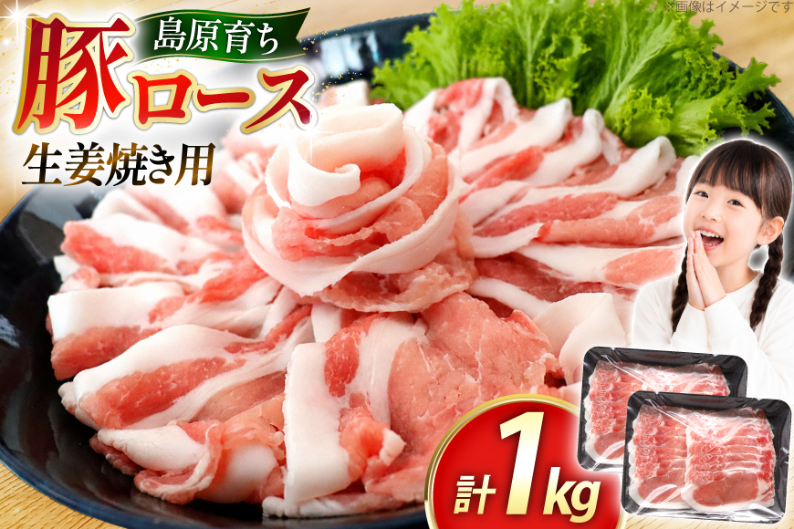 AK030 豚ロース 生姜焼き用 500g 2パック 計1kg [ 豚肉 ぶた肉 ロース 小分け 肉 お肉 生姜焼き しょうが焼き BBQ バーベキュー 焼肉 アウトドア 1キロ スターゼン 長崎県 島原市 ]