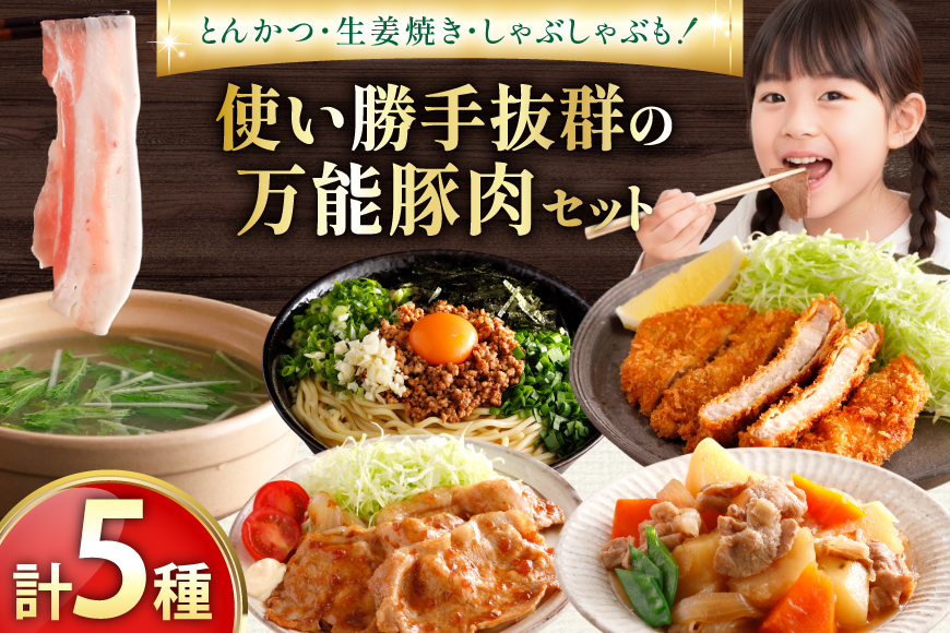 AJ666 島原育ちの豚肉セット 計4.5kg [ 豚肉 ぶた 豚ロース とんかつ用 豚バラ しゃぶしゃぶ 薄切り 豚小間 こま切れ 豚ミンチ セット 小分け バラエティ スターゼン株式会社 長崎県 島原市]