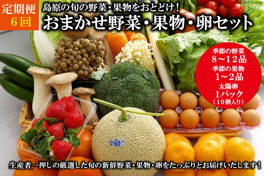 【定期便】【6回】島原の旬の野菜・果物！おまかせ野菜・果物・卵セット