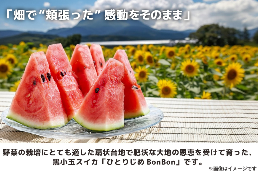 【令和8年度出荷分】BE275 黒小玉スイカ「ひとりじめBonBon」 5kg(1.7kg以上×2~3玉) ～名水百選の里 島原産～ [ Bunkou Farms 島原 合同会社 島原市 BE275 ]