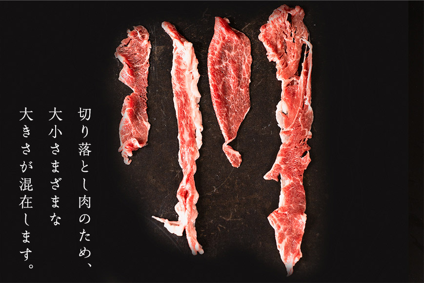 AI123 訳あり 牛肉 長崎和牛 切り落とし 計600g (300g×2P) [ 肉 和牛 牛 精肉 冷凍 小分け すき焼き しゃぶしゃぶ 日本ハムマーケティング 長崎県 島原市 ]