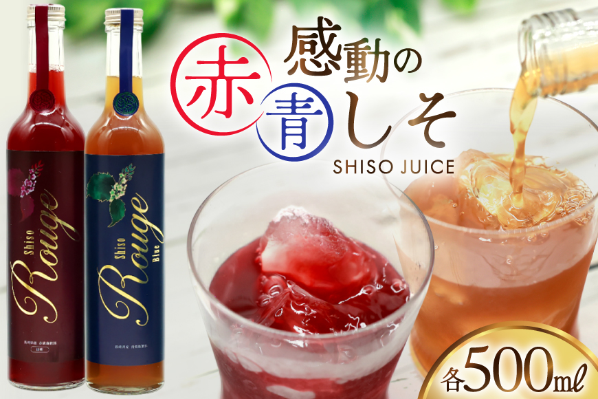 AJ307 感動の赤しそジュース 瓶 500ml 感動の青しそジュース 瓶 500ml [ しそジュース 紫蘇ジュース 赤しそ 青しそ 長崎県 島原市 ]