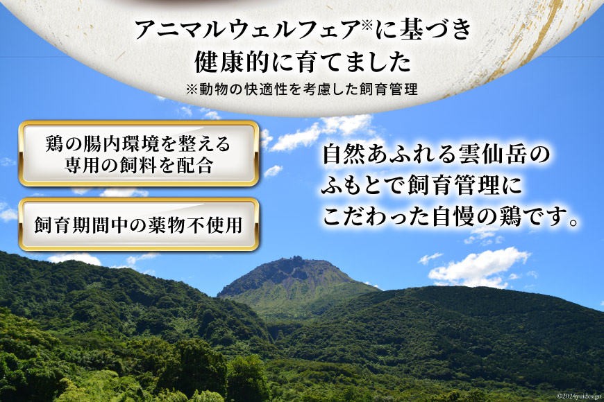 AI085 鶏肉 雲仙しまばら鶏 もも肉 むね肉 各300g 5袋 計3kg [ 小分け 鶏もも肉 鶏むね肉 若鶏 とりもも肉 とりむね肉 とりもも とりむね 肉 チキン 真空パック セット 大光食品 長崎県 島原市 ]