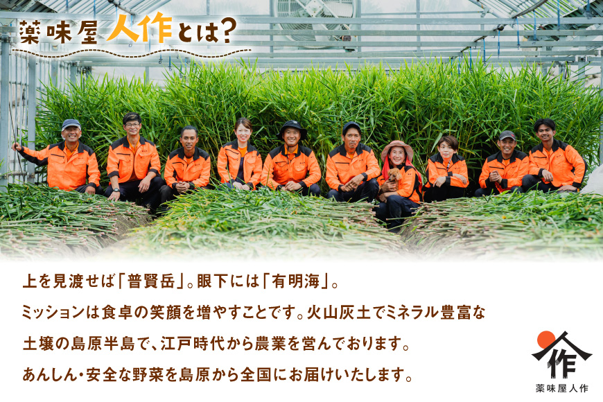 AJ680 薬味屋人作の生姜ギフトセット（生姜炊き込みご飯の素130g×2箱、おかかdeしょうが100g×1個、みそdeしょうが100g×1個、しょうが焼のたれ150g×1本） [ 炊き込みご飯の素 混ぜご飯 薬味 ご飯のお供 生姜 しょうが ショウガ 味噌 みそ 焼肉のたれ たれ タレ 保存料 添加物 不使用 国産 松本農園 人作 長崎県 島原市 ]