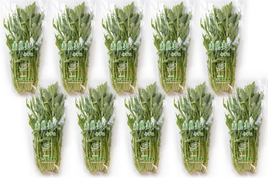 AI336 定期便 6回 水菜 10束 [ 野菜 みずな サラダ やさい 冷蔵 葉物野菜 田中農園 長崎県 島原市 ]