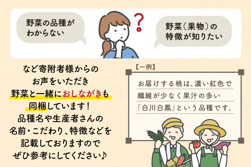 BD158 【3回定期便】 野菜・フルーツ・卵 旬のおまかせセット （野菜･フルーツ13～16種、卵6玉） [ 野菜セット 野菜 フルーツ 果物 たまご 鶏卵 産地直送 厳選 長崎県 島原市 送料無料]