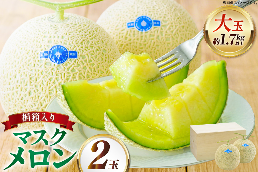 【期間限定発送】AB053 その道一筋の生産者がじっくり丁寧に育てた マスクメロン 2玉 特選 大玉 桐箱