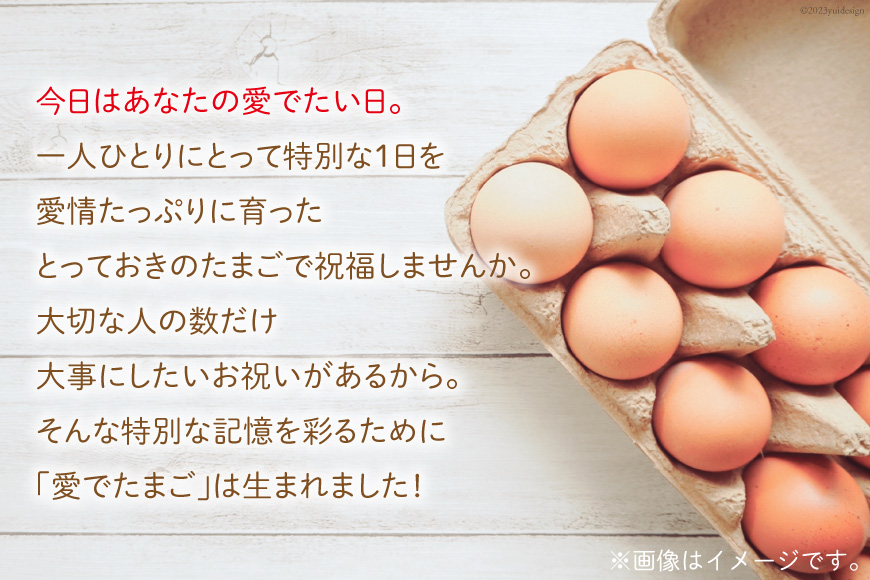 AH060 愛でたまご３種セット【 たまご 卵 長崎県 島原市 養鶏場 直送 】