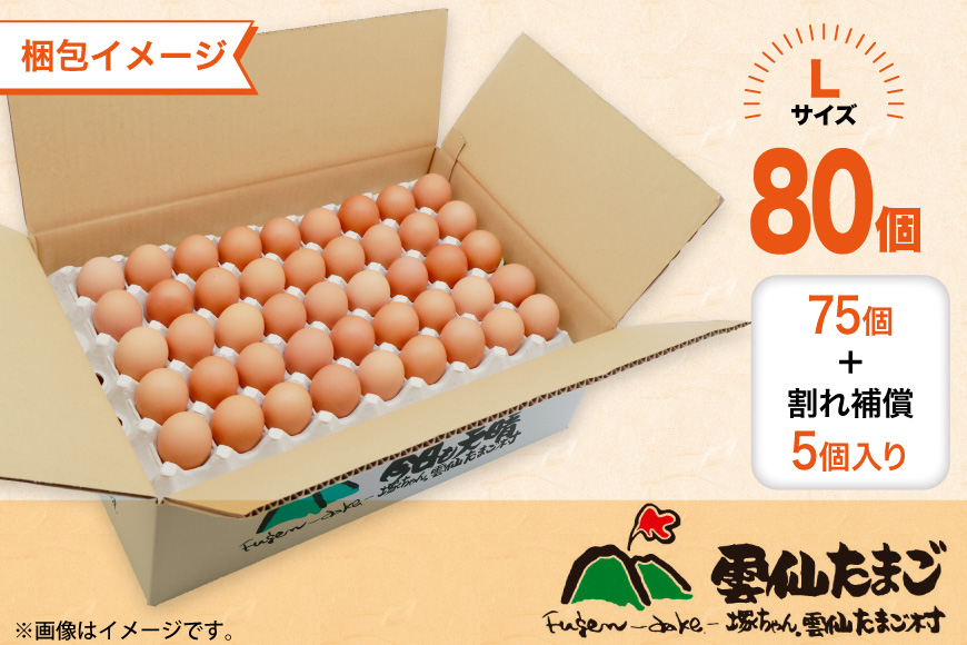 BI037 3回 定期便 たっぷり！ 雲仙たまごLサイズ 80個 (75個＋割れ補償5個入り) [ 卵 たまご 生卵 鶏卵 赤卵 玉子 新鮮 塚ちゃん雲仙たまご村 長崎県 島原市 ]