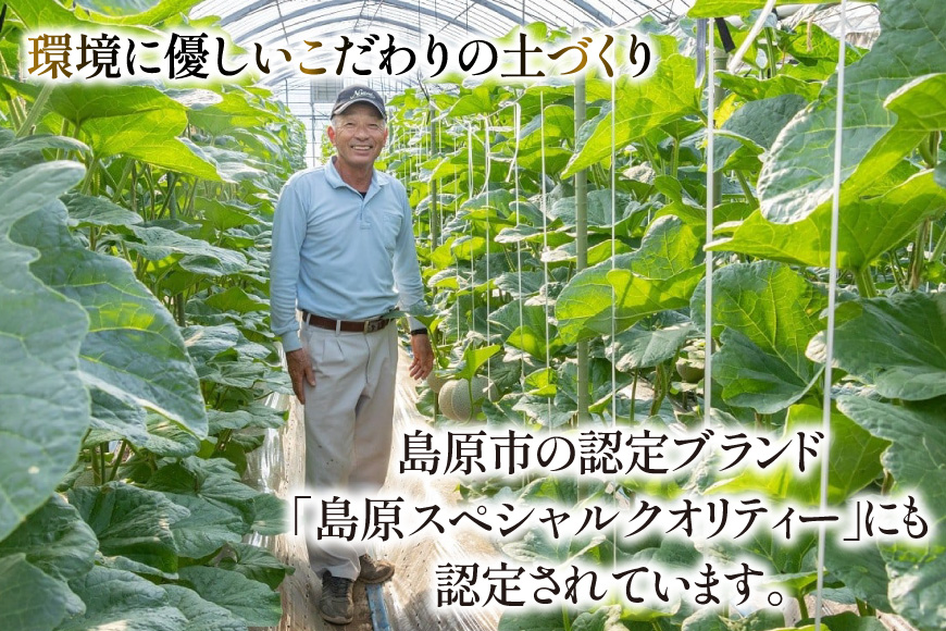 【期間限定発送】AB053 その道一筋の生産者がじっくり丁寧に育てた マスクメロン 2玉 特選 大玉 桐箱