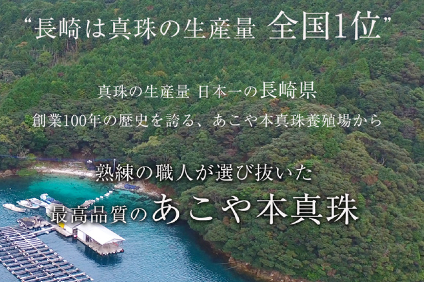 AI364-a Marycoco 長崎県産 極上 あこや本真珠 8.0～8.5mm ジュエリー 2点 セット [N975-1505 真珠 ネックレス イヤリング あこや真珠 国産 あこや ファッション レディース メアリーココ 長崎県 島原市 ]