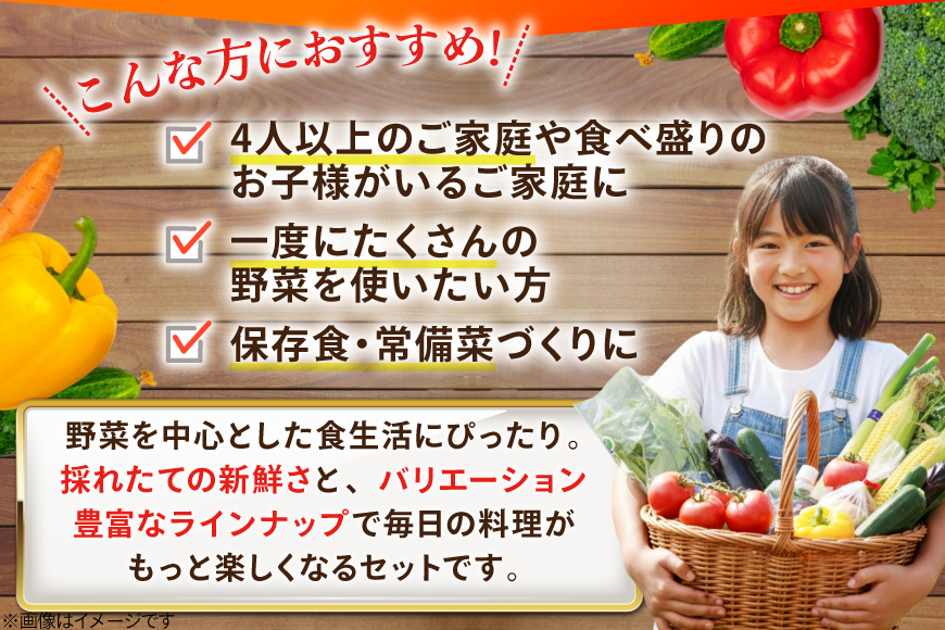 AJ315 季節の野菜・果物セット 13〜15品 しそジュース付き [ 野菜 詰合せ 長崎県 島原市 ]