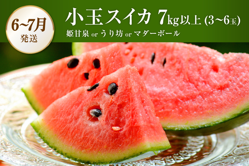 CG083 フルーツ 定期便 全4回 厳選！島原の人気フルーツ定期便 [ 旬 果物 詰め合わせ 食べ比べ セット いちご メロン すいか キウイ 長崎県 島原市 ]