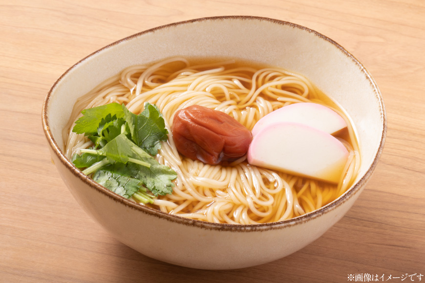 AJ293 島原 手のべそうめん 500g (50g×5束×2袋) [ そうめん 素麺 手延べ素麺 島原そうめん 島原素麺 麺 乾麺 国内製造 塚原食品本舗 長崎県 島原市 ]