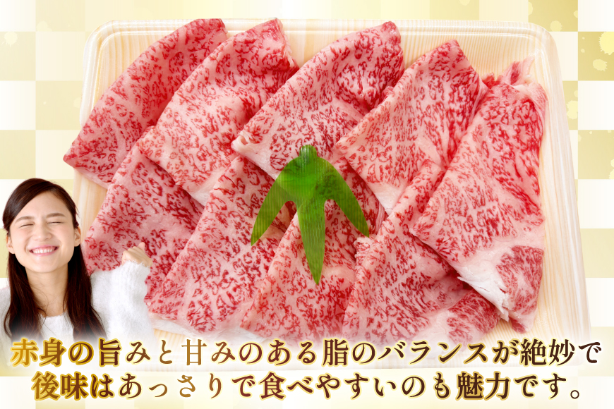 AJ584 【6回定期便】長崎和牛 リブロース しゃぶしゃぶ用 約500g [ 肉 牛肉 和牛 高級 おいしい ステーキ肉 まるしん商会 黒牛 長崎県 島原市 ]