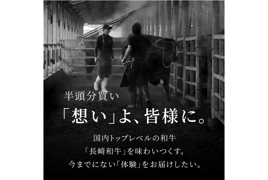 AI276 長崎和牛 半頭分買い 一括納品 [ 肉 和牛 牛肉 Giverichホールディングス 長崎県 島原市 ]