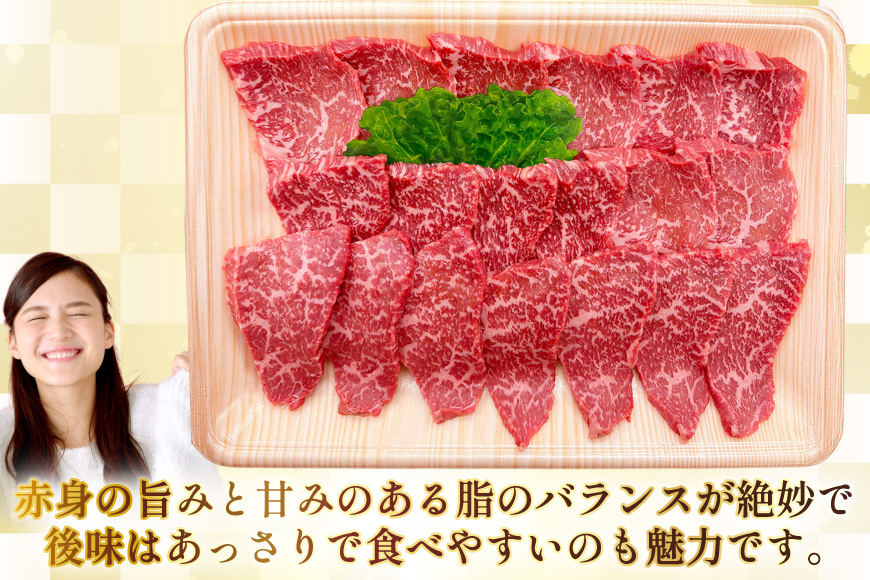 AJ565 【3回定期便】長崎和牛 もも 焼肉用 約500g [ 肉 牛肉 和牛 高級 おいしい ステーキ肉 まるしん商会 黒牛 長崎県 島原市 ]