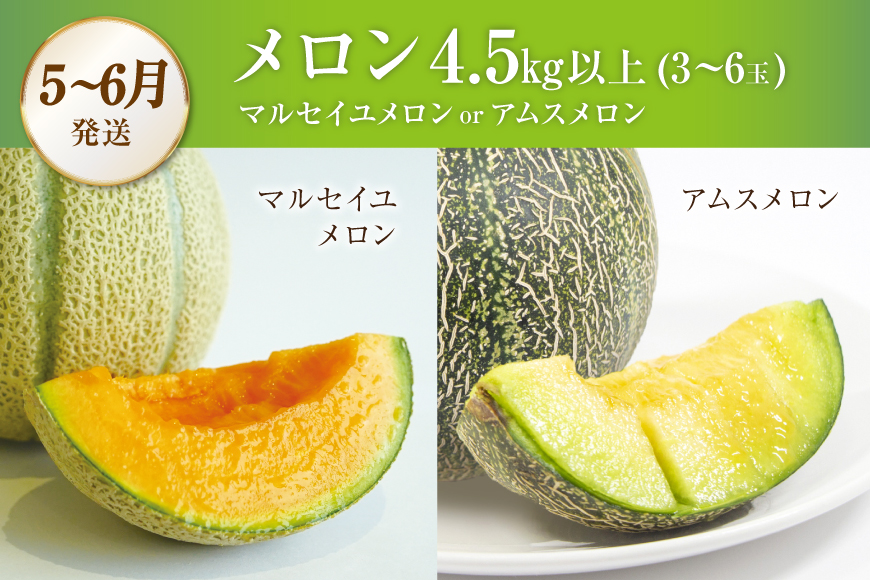 CG083 フルーツ 定期便 全4回 厳選！島原の人気フルーツ定期便 [ 旬 果物 詰め合わせ 食べ比べ セット いちご メロン すいか キウイ 長崎県 島原市 ]