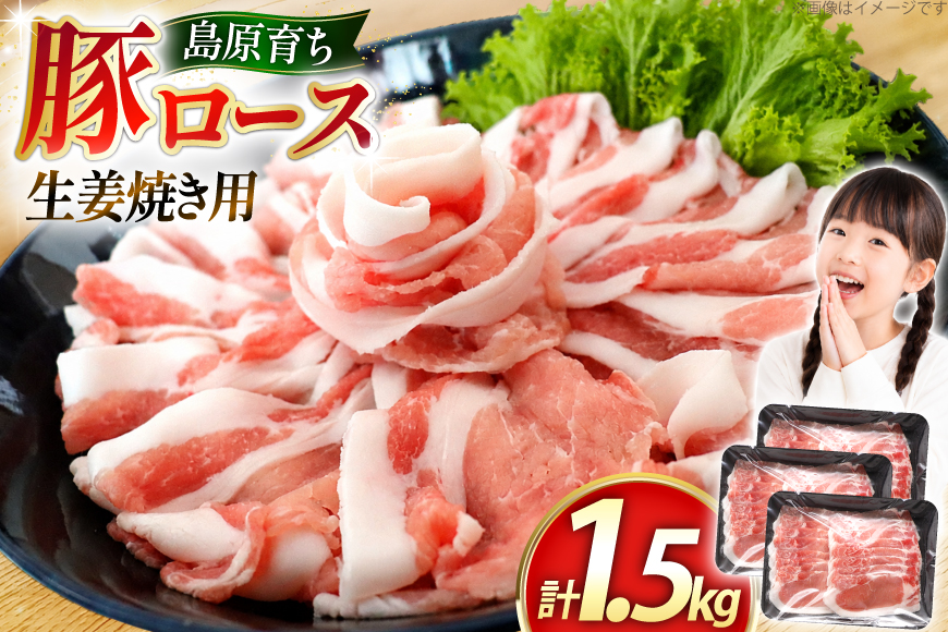 AK031 豚ロース 生姜焼き用 500g 3パック 計1.5kg [ 豚肉 ロース 小分け 肉 お肉 BBQ バーベキュー 焼肉 アウトドア スターゼン 長崎県 島原市 ]