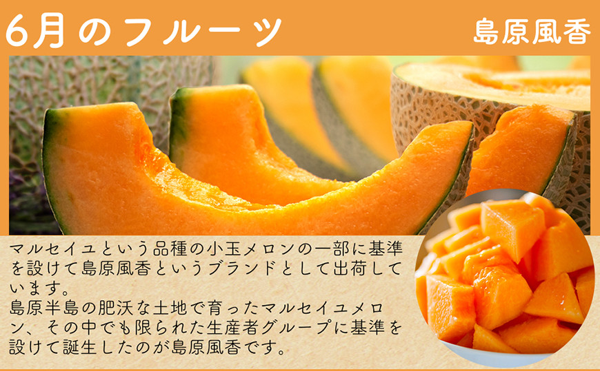 DH106 【令和9年度出荷分】【春〜夏季】フルーツ定期便（全4回） ハウスびわ 小玉スイカ 小玉メロン 梨 [ 果物 フルーツ びわ すいか メロン ナシ 長崎県 島原市 ]