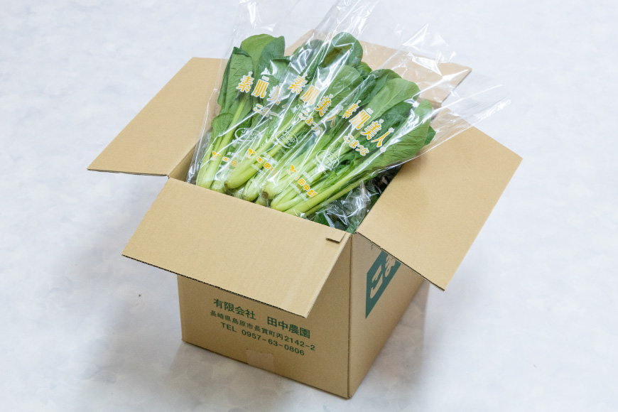 AI333 定期便 6回 小松菜 30束 [ 野菜 こまつな やさい 冷蔵 葉物野菜 田中農園 長崎県 島原市 ]