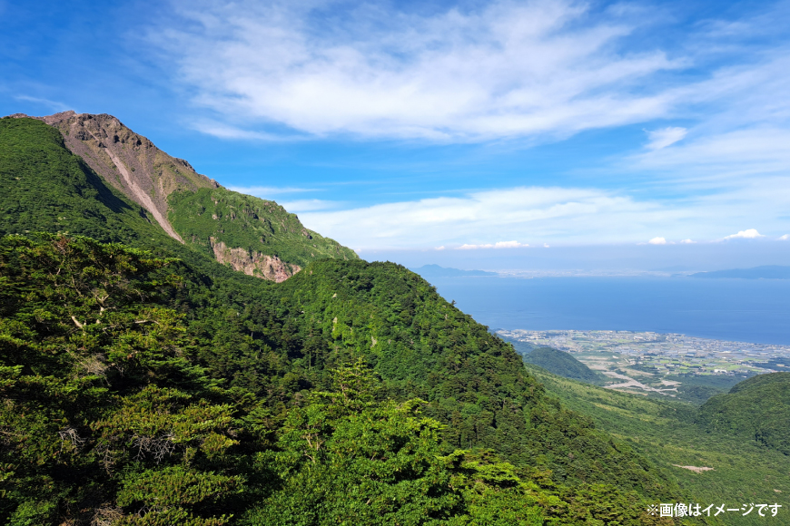 BE249 山崎本店酒造場 【12回定期便】 雲仙島原の天然水 20L [ 水 天然水 ウォーター おいしい 定期便 定期 1年 名水百選 大容量 日用品 軟水 長崎県 島原市 ]