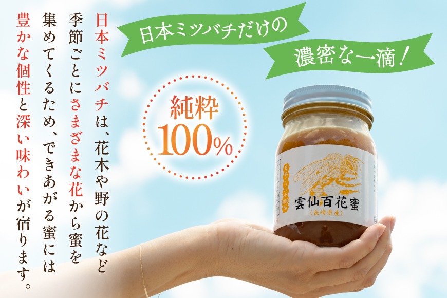 AJ446 はちみつ 国産 百花蜜 500g 2個 日本ミツバチ 純粋 100% [ 安中梅林を育てる会 蜂蜜 ハチミツ 非加熱 無添加 長崎県 島原市 ]