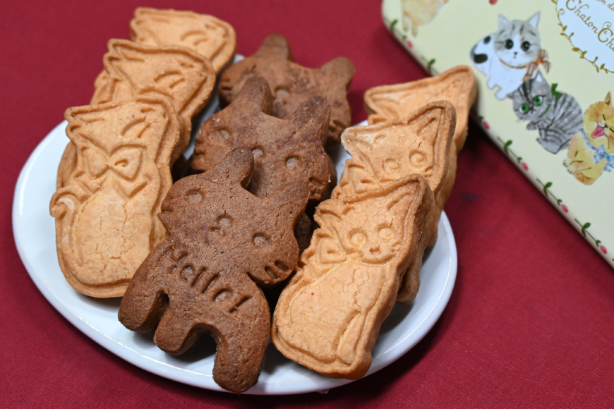 AI193 クッキー 9枚 1缶 [ クッキー缶 ねこ 猫 チョコ 焼き菓子 かわいい バレンタイン 贈り物 スイーツ 菓子 ギフト パティスリーシャトン 長崎県 島原市 ]