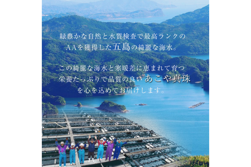 AI392 Marycoco あこや本真珠 8mm 一粒 パールネックレス ストーンリングトップ ケース付 [N586-2 ネックレス 一粒ネックレス パール 真珠 アコヤ真珠 本真珠 ジュエリー アクセサリー 金属アレルギー対応 メアリーココ 長崎県 島原市 ]