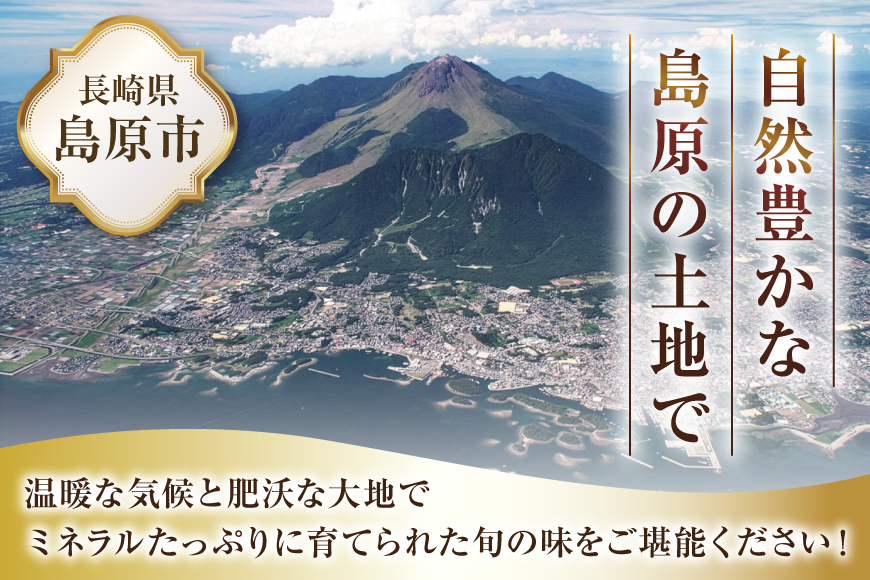CG083 フルーツ 定期便 全4回 厳選！島原の人気フルーツ定期便 [ 旬 果物 詰め合わせ 食べ比べ セット いちご メロン すいか キウイ 長崎県 島原市 ]