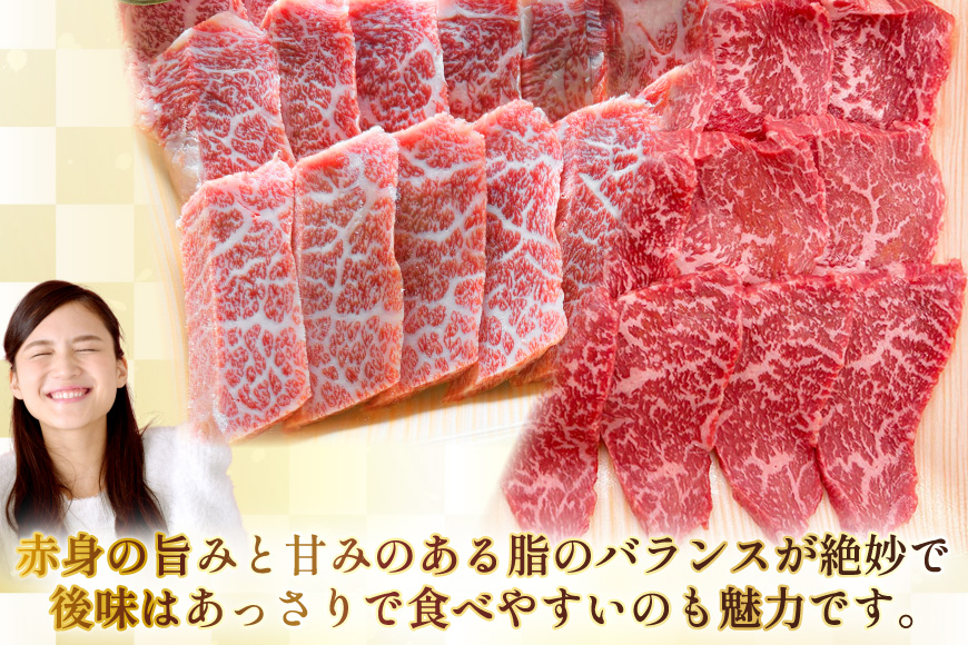 AJ573 【12回定期便】長崎和牛 焼肉セット 計約1kg バラ 霜降り(500g)・もも(500g) [ 肉 牛肉 和牛 高級 おいしい ステーキ肉 まるしん商会 黒牛 長崎県 島原市 ]