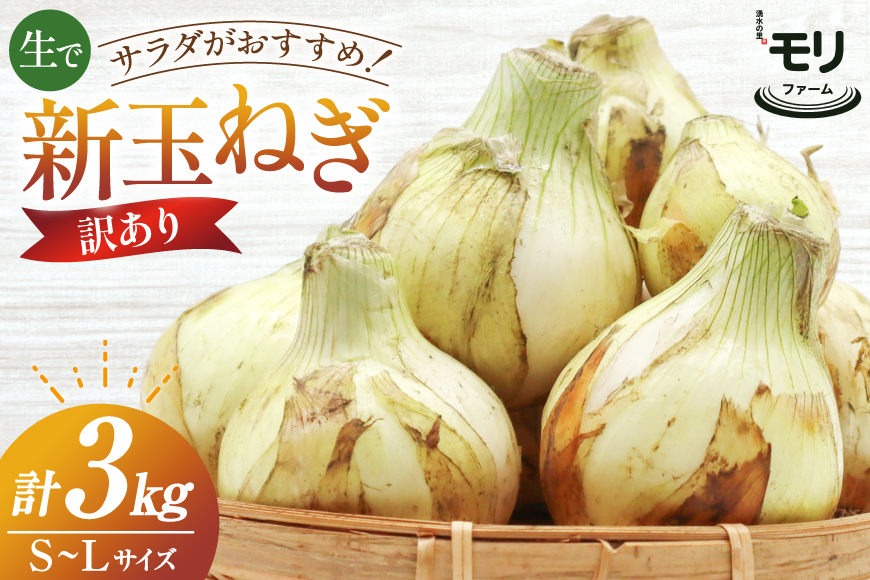 AJ113 【訳あり】 湧水の里 モリファーム 新玉ねぎ 3kg 不揃い (S〜Lサイズ混合) [ 新たまねぎ 新たま 玉ねぎ たまねぎ タマネギ 生玉ねぎ サラダ おいしい ふぞろい 訳アリ 森農園 湧水の里 モリファーム 長崎県島原市 ]