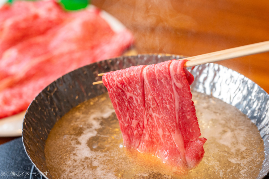 AJ555 【12回定期便】長崎和牛 もも スライス 約500g [ 肉 牛肉 和牛 高級 おいしい ステーキ肉 まるしん商会 黒牛 長崎県 島原市 ]