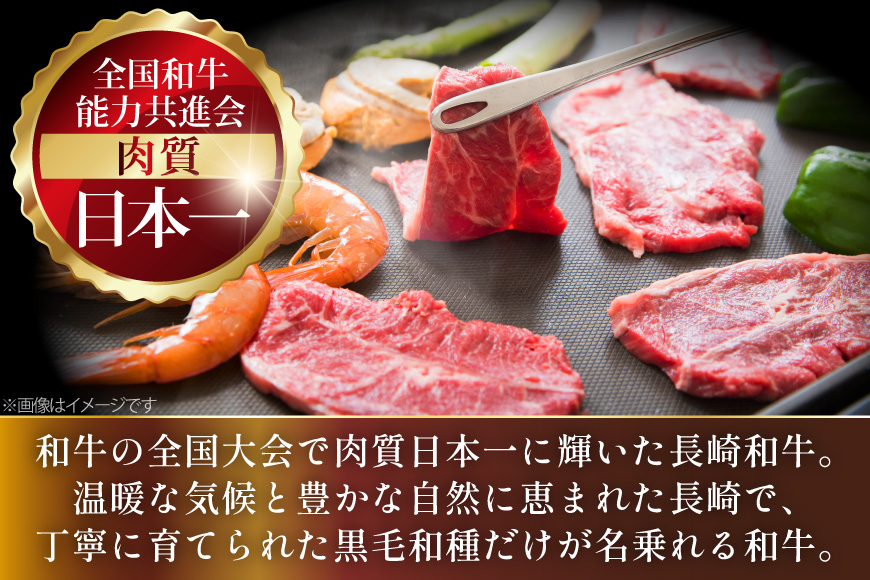 AJ569 【6回定期便】長崎和牛 もも 焼肉用 約1kg (500g×2P) [ 肉 牛肉 和牛 高級 おいしい ステーキ肉 まるしん商会 黒牛 長崎県 島原市 ]