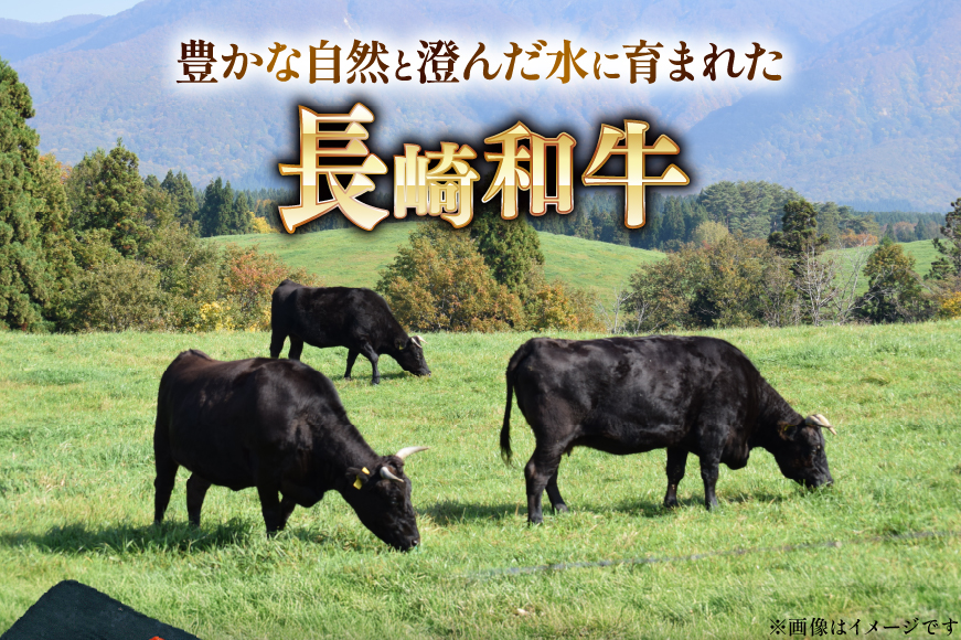 AJ467 長崎和牛 ローススライス 330g 2パック 計660g [ 牛肉 肉 和牛 お肉 すき焼き しゃぶしゃぶ 小分け トライアルストアーズ 長崎県 島原市 ]