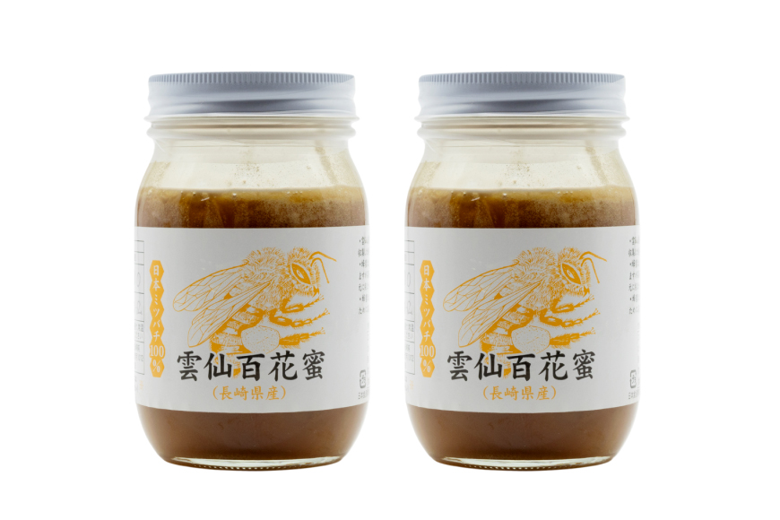 AJ446 はちみつ 国産 百花蜜 500g 2個 日本ミツバチ 純粋 100% [ 安中梅林を育てる会 蜂蜜 ハチミツ 非加熱 無添加 長崎県 島原市 ]