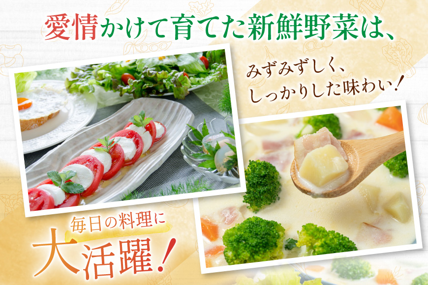 BD158 【3回定期便】 野菜・フルーツ・卵 旬のおまかせセット （野菜･フルーツ13～16種、卵6玉） [ 野菜セット 野菜 フルーツ 果物 たまご 鶏卵 産地直送 厳選 長崎県 島原市 送料無料]