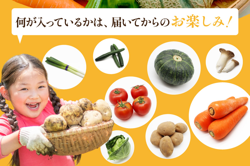 BF059 【12回定期便】旬の野菜・フルーツ (12～14品目)・卵 (6個) おまかせ セット[ 野菜 果物 卵 やさい くだもの 果物 タマゴ たまご 詰め合わせ 江戸屋 長崎県 島原市 ]