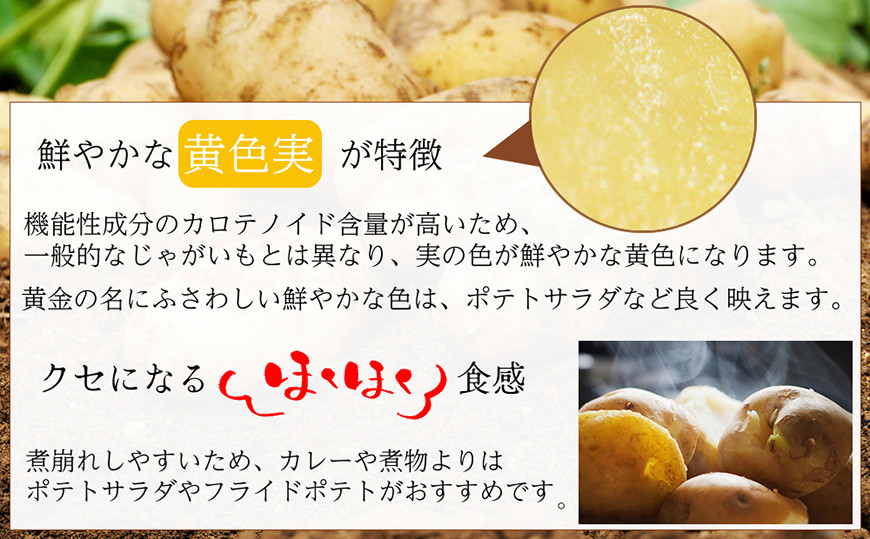 BH048 じゃがいも 希少品種 ながさき黄金 S〜2Lサイズ混合 約5kg [ 野菜 芋 ジャガイモ 5キロ ほくほく 先行予約 常備野菜 サイズ混同 国産 贅沢宝庫 長崎県 島原市 ]