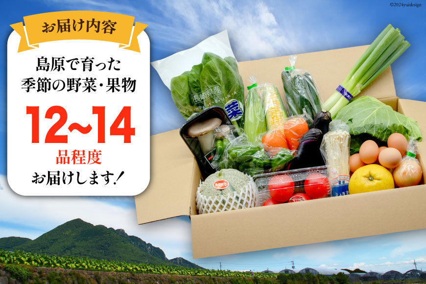 BE236 旬の野菜・フルーツ (12〜14品目)・卵 (6個) おまかせ セット【 野菜 果物 卵 やさい くだもの 果物 タマゴ たまご 詰め合わせ フードショップ江戸屋 長崎県 島原市 】