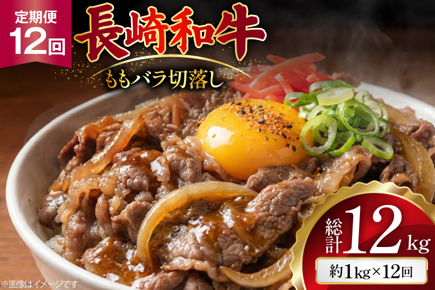 AJ579 【12回定期便】長崎和牛 切り落とし (もも・バラ) 約1kg (500g×2P) [ 肉 牛肉 和牛 高級 おいしい ステーキ肉 まるしん商会 黒牛 長崎県 島原市 ]