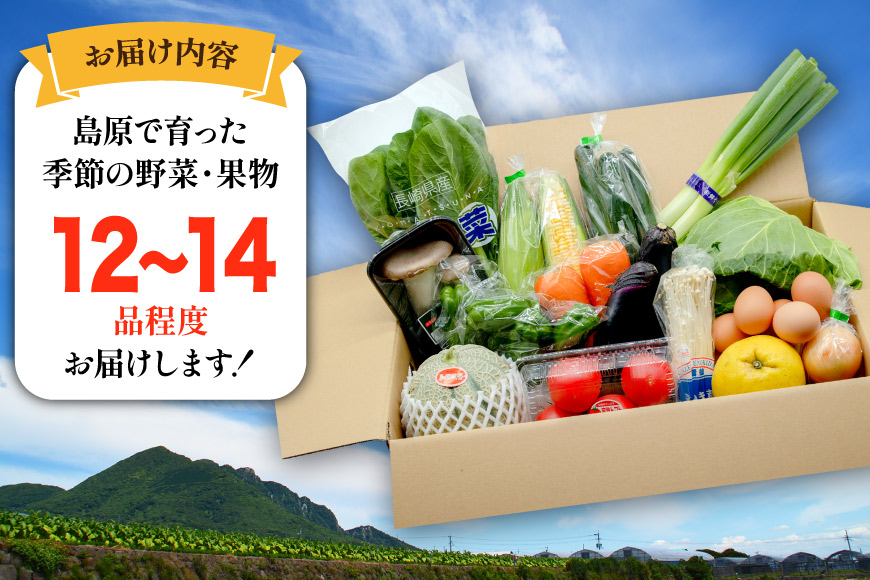 BF059 【12回定期便】旬の野菜・フルーツ (12～14品目)・卵 (6個) おまかせ セット[ 野菜 果物 卵 やさい くだもの 果物 タマゴ たまご 詰め合わせ 江戸屋 長崎県 島原市 ]