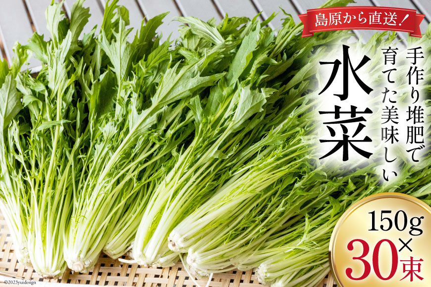 【BH017】水菜 150g×30束