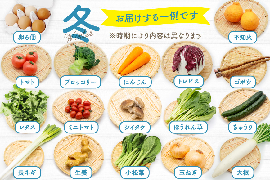 BH113 【6回定期便】 野菜・フルーツ・卵 旬のおまかせセット （野菜･フルーツ13～16種、卵6玉） [ 野菜セット 野菜 フルーツ 果物 たまご 鶏卵 産地直送 厳選 長崎県 島原市 送料無料]