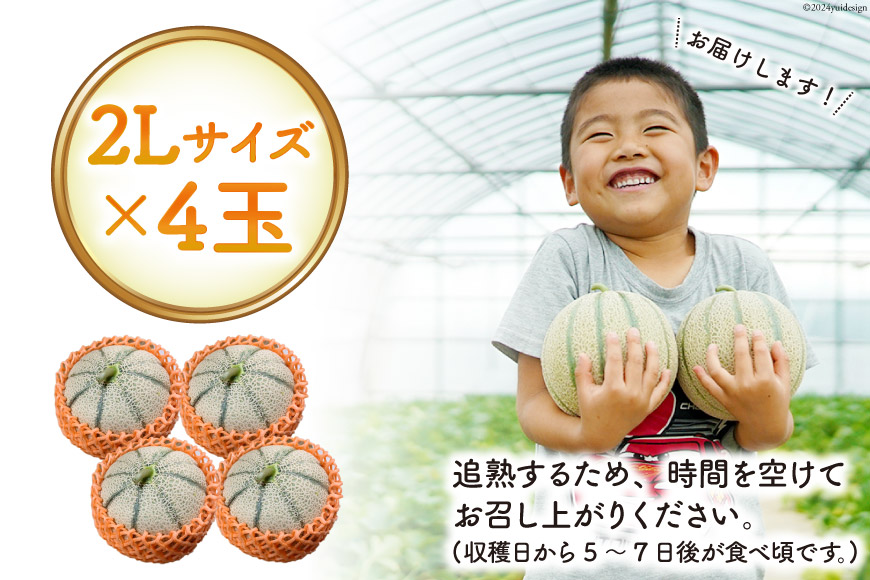 AI114 【令和7年度出荷分】島原赤肉メロン「マルセイユ」 2L × 4玉 [ メロン めろん マルセイユ 赤肉 フルーツ 果物 小原商店 長崎県 島原市 ]