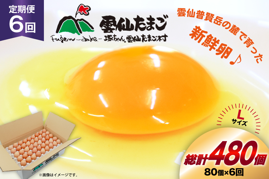 BI038 6回 定期便 たっぷり！ 雲仙たまごLサイズ 80個 (75個＋割れ補償5個入り) [ 卵 たまご 生卵 鶏卵 赤卵 玉子 新鮮 塚ちゃん雲仙たまご村 長崎県 島原市 ]